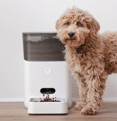 Fluffy dog next to a PetNet Smart Feeder