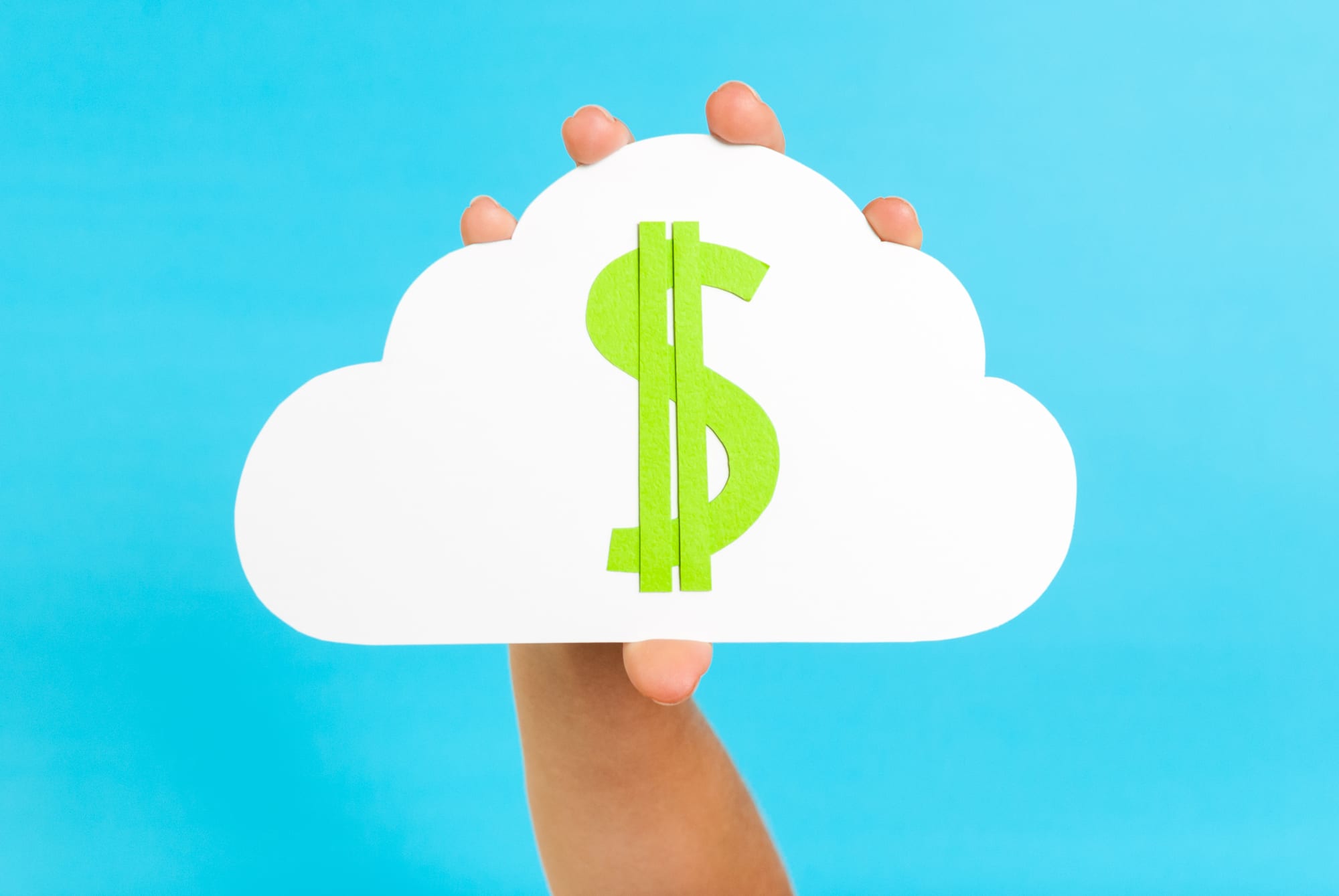 long term cost of using cloud services for business